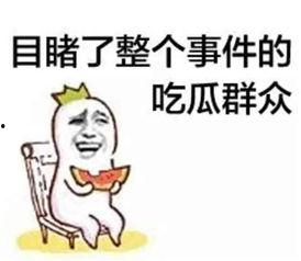 吃瓜系统娱乐圈沙雕动画