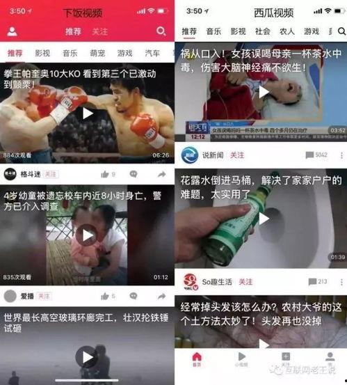 娱乐吃瓜酱飞鱼视频下载